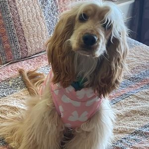 Meet your Posher, Caitlyn